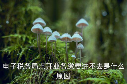 為什么江蘇省電子稅務(wù)局進(jìn)不去，請(qǐng)問電子稅務(wù)局登不上去怎么回事