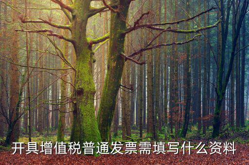 開增值稅普通需要什么資料，開增值稅票需要什么資料