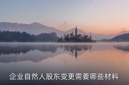 變更自然人登記業(yè)務(wù)需要帶什么，企業(yè)自然人股東變更需要哪些材料
