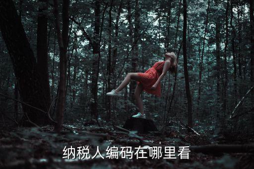 地稅稅源編號是什么，建筑業(yè)地稅稅源編號指的是啥