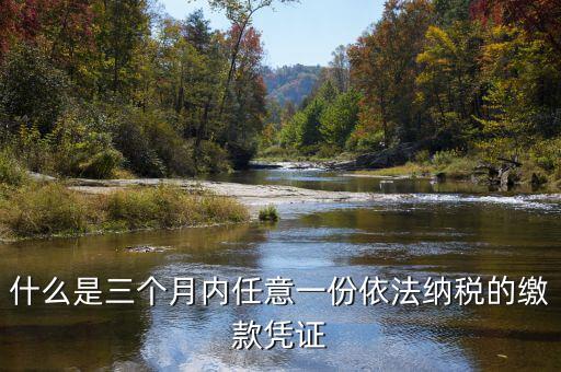 稅收繳款憑證是什么，請問國稅局要我繳納2010年的稅憑證稅憑證具體是指什么