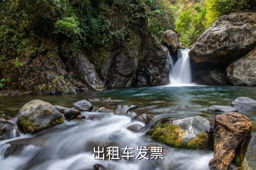出租汽車發(fā)票為什么沒有稅率，出租車發(fā)票