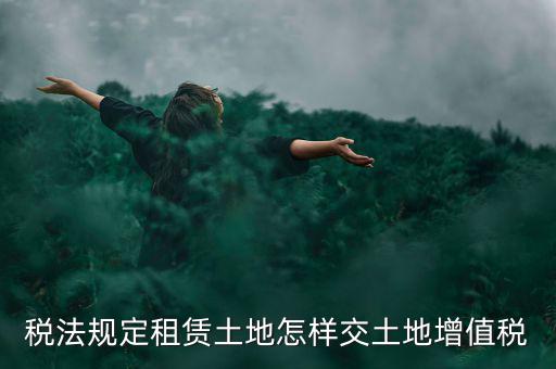 租用土地要交什么稅，土地租賃應該繳哪些稅收