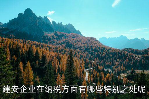建安企業(yè)申報是什么，做消防工程開具建安發(fā)票的公司申報是地稅還是國稅啊還是兩個都