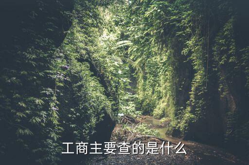 工商查賬一般是查什么，請(qǐng)問(wèn)工商局查帳會(huì)查些什么問(wèn)題