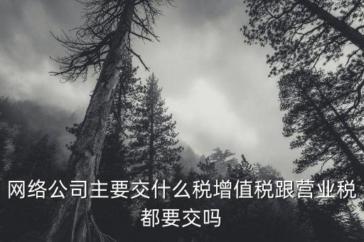 互聯(lián)網(wǎng)企業(yè)交什么稅，互聯(lián)網(wǎng)公司在稅收上有何政策