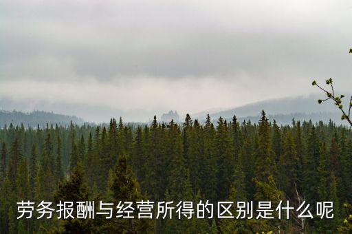 什么是經營所得，個體工商戶的生產經營所得是指什么