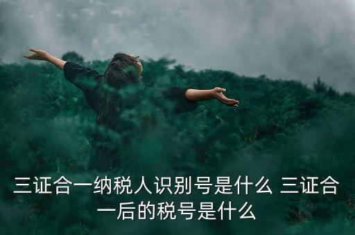 三證合一后稅號是什么，三證合一納稅人識別號是什么 三證合一后的稅號是什么