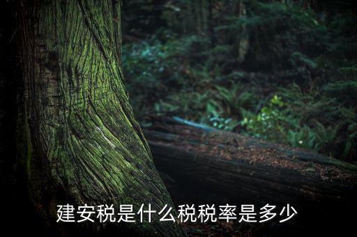 建安稅按什么征，營(yíng)改增后建安稅稅種稅率有哪些