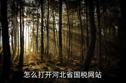 河北稅務(wù)官網(wǎng)是什么意思，怎么打開河北省國稅網(wǎng)站