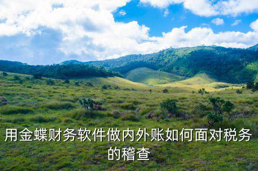 稅務(wù)稽查用的什么軟件，用金蝶財(cái)務(wù)軟件做內(nèi)外賬如何面對(duì)稅務(wù)的稽查