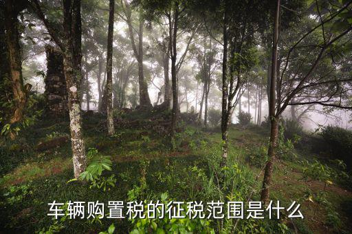 車輛購置稅征收范圍由什么決定，車輛購置稅的征稅范圍是什么
