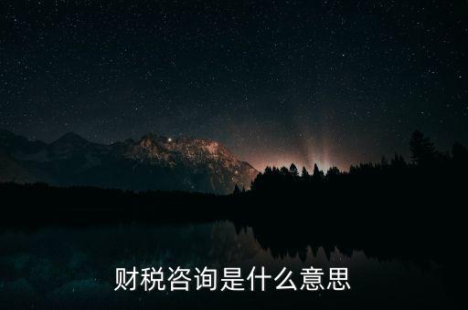 財(cái)稅咨詢(xún)是什么意思