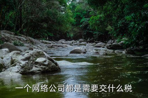 互聯(lián)網(wǎng)公司交什么稅，做互聯(lián)網(wǎng)服務(wù)行業(yè)要交多少稅