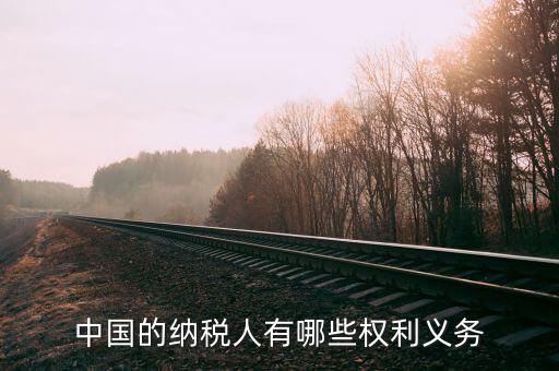 納稅服務(wù)什么權(quán)，中國的納稅人有哪些權(quán)利義務(wù)