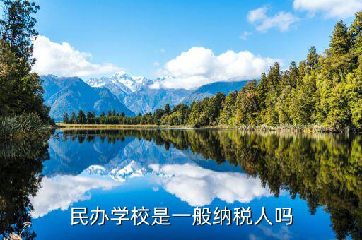 學(xué)校屬于什么納稅人，民辦學(xué)校是一般納稅人嗎
