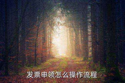 我想申請(qǐng)票種的流程是什么樣的，小規(guī)模申請(qǐng)專票的流程是什么