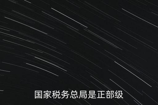 稅務(wù)大廳主任什么級(jí)別，金河鎮(zhèn)稅務(wù)務(wù)局局長(zhǎng)是什么級(jí)別