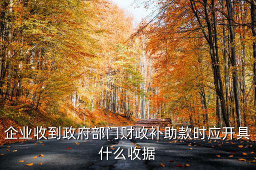 企業(yè)收到政府部門財政補助款時應(yīng)開具什么收據(jù)