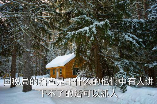 稅務(wù)稽查屬于什么工作，國稅局稽查局工作是干什么