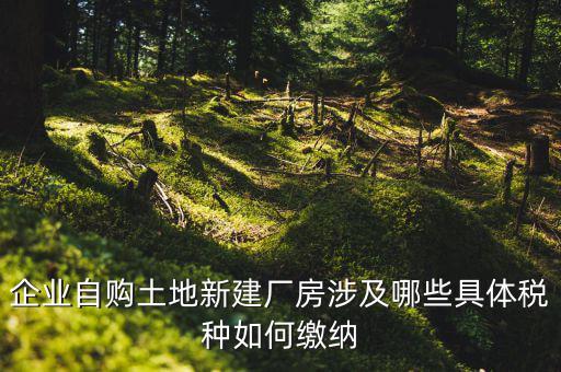 買(mǎi)地建廠房有什么稅，我們工廠是買(mǎi)了一塊地皮然后造了廠房請(qǐng)問(wèn)土地使用需要交什么