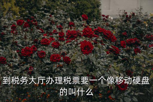 稅務(wù)磁盤什么樣，我要正確的答案