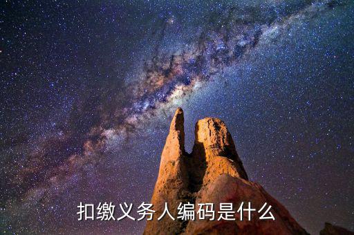 個稅系統(tǒng)扣繳義務人編碼是什么，扣繳義務人編碼是什么