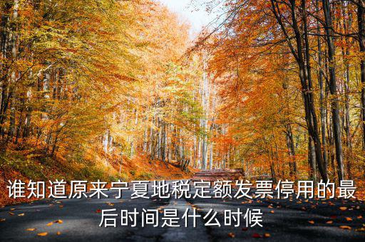 地稅餐費(fèi)發(fā)票什么時(shí)間停用的，地稅發(fā)票從什么時(shí)候開(kāi)始不能用了