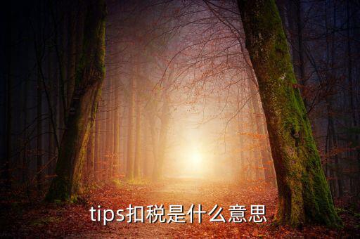 國稅tips系統(tǒng)指什么意思，電子對(duì)賬單上摘要一欄寫有tips是什么意思