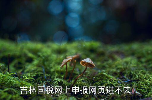 吉林省國稅上不去為什么，吉林省國家稅務(wù)局晚上申報(bào) 無法安全登陸