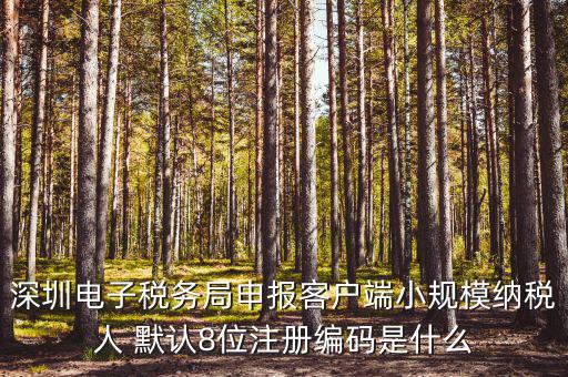 深圳納稅人編號是什么，什么是深圳市國稅百元開頭發(fā)票的納稅人識別號