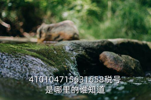 河南省的稅號(hào)是什么意思，410104715631658稅號(hào)是哪里的誰(shuí)知道