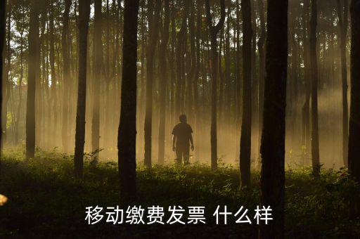 移動(dòng)電子發(fā)票什么樣，移動(dòng)繳費(fèi)發(fā)票 什么樣
