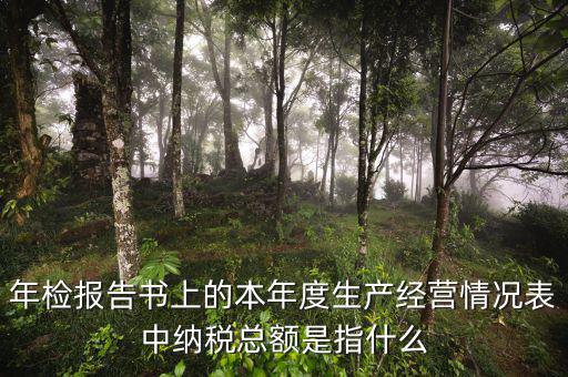 年報(bào)的納稅額看什么表，年檢報(bào)告書上的本年度生產(chǎn)經(jīng)營(yíng)情況表中納稅總額是指什么