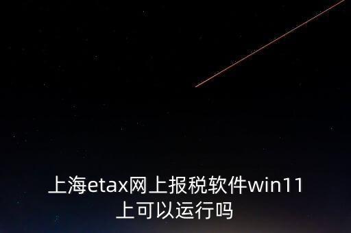上海網(wǎng)上報(bào)稅什么軟件，上海etax網(wǎng)上報(bào)稅軟件win11上可以運(yùn)行嗎