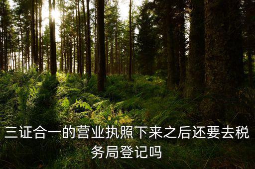 辦完三證合一 要去稅局做什么，三證合一后還需要去國地稅做些什么啊