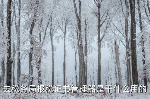 地稅證書管理網(wǎng)是什么，去稅務(wù)局報稅證書管理器是干什么用的