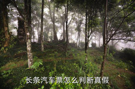 長條國稅車票什么樣子，國稅長途汽車票什么樣