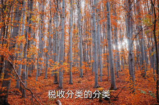 代售點屬于什么稅務(wù)類型，電信代理費屬于稅收分類編碼