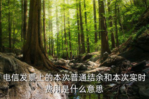 結(jié)余發(fā)票是什么，電信交話費(fèi)發(fā)票上本次普通結(jié)余是什么意思啊 實(shí)時(shí)費(fèi)用又是什么意思啊