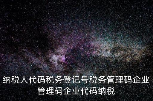 納稅人管理代碼是什么，納稅人代碼稅務(wù)登記號稅務(wù)管理碼企業(yè)管理碼企業(yè)代碼納稅