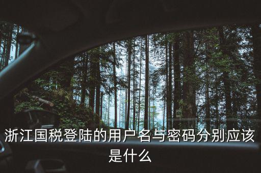 浙江國(guó)稅密碼是什么，浙江地稅開(kāi)票軟件中數(shù)據(jù)庫(kù)密碼是多少