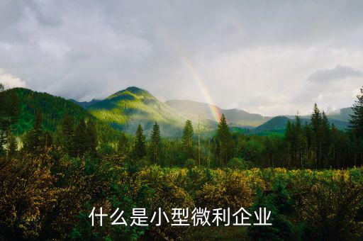 什么叫小型微利企業(yè)，什么是小型微利企業(yè)