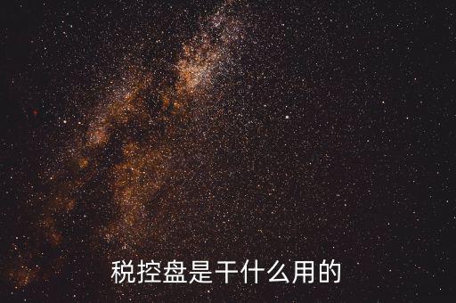 百望稅盤有什么用處，稅盤是干什么用的