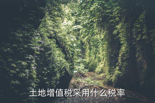 土地增值稅用什么稅率，土地增值稅采用什么稅率