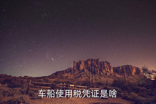 車船稅繳納憑證是什么意思，車船使用稅憑證是啥