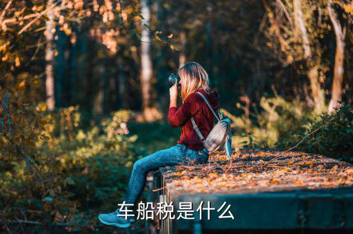 車船稅和什么有關，什么是車船稅