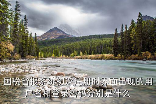 網(wǎng)上辦稅登入名是什么，稅務(wù)用戶名是什么啊