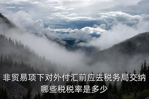 為什么非貿易付匯要繳稅，公司剛剛做了筆非貿易付匯紅利股息匯出問一下匯出金額是要扣