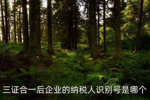 三證合一的納稅人識別號是什么，三證合一后企業(yè)的納稅人識別號是哪個